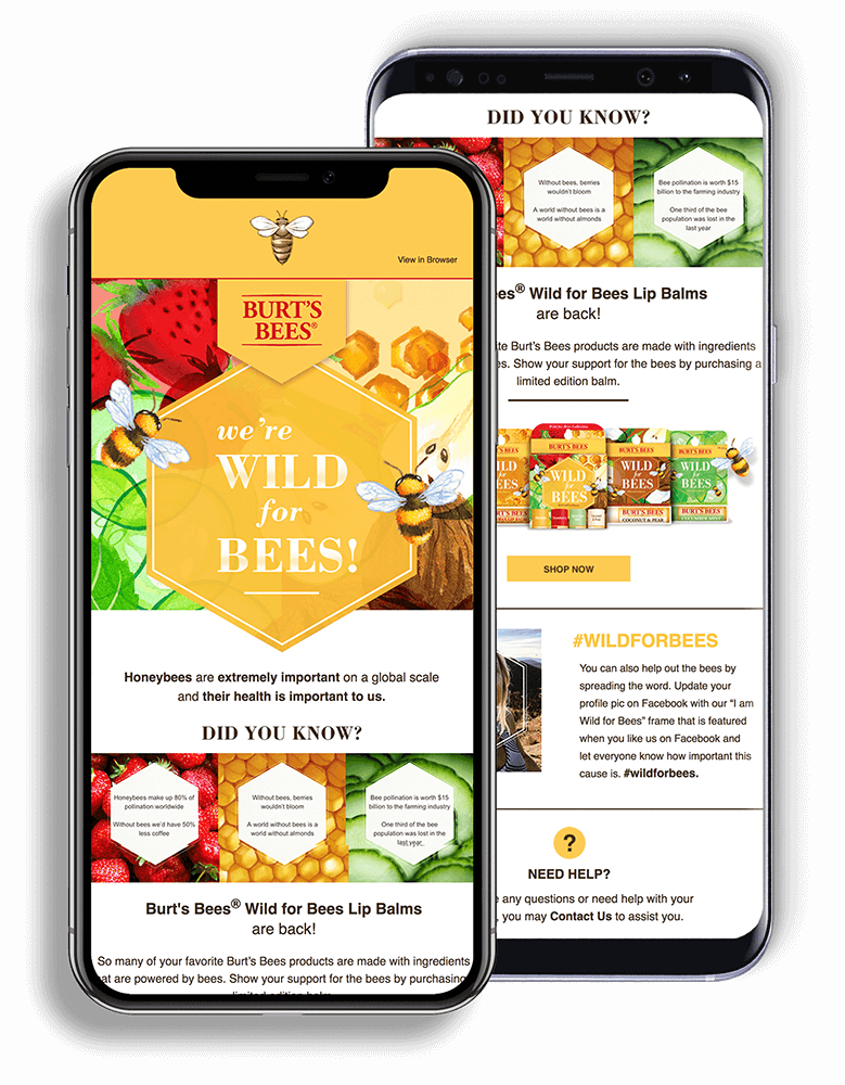 Burt's Bees Email Development